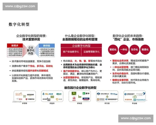 面向数字化转型的企业整体解决方案创新实践路径与升级策略研究探索